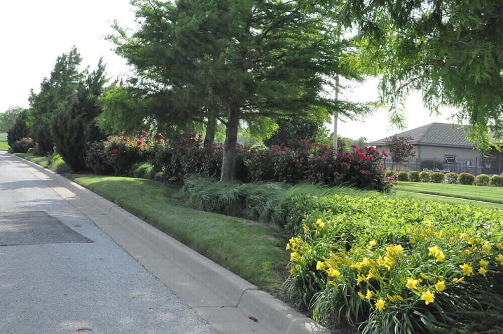 Commercial landscape company project in Kansas City