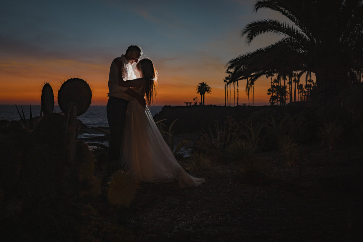 Jennifer + Brian Wedding Romantics-105