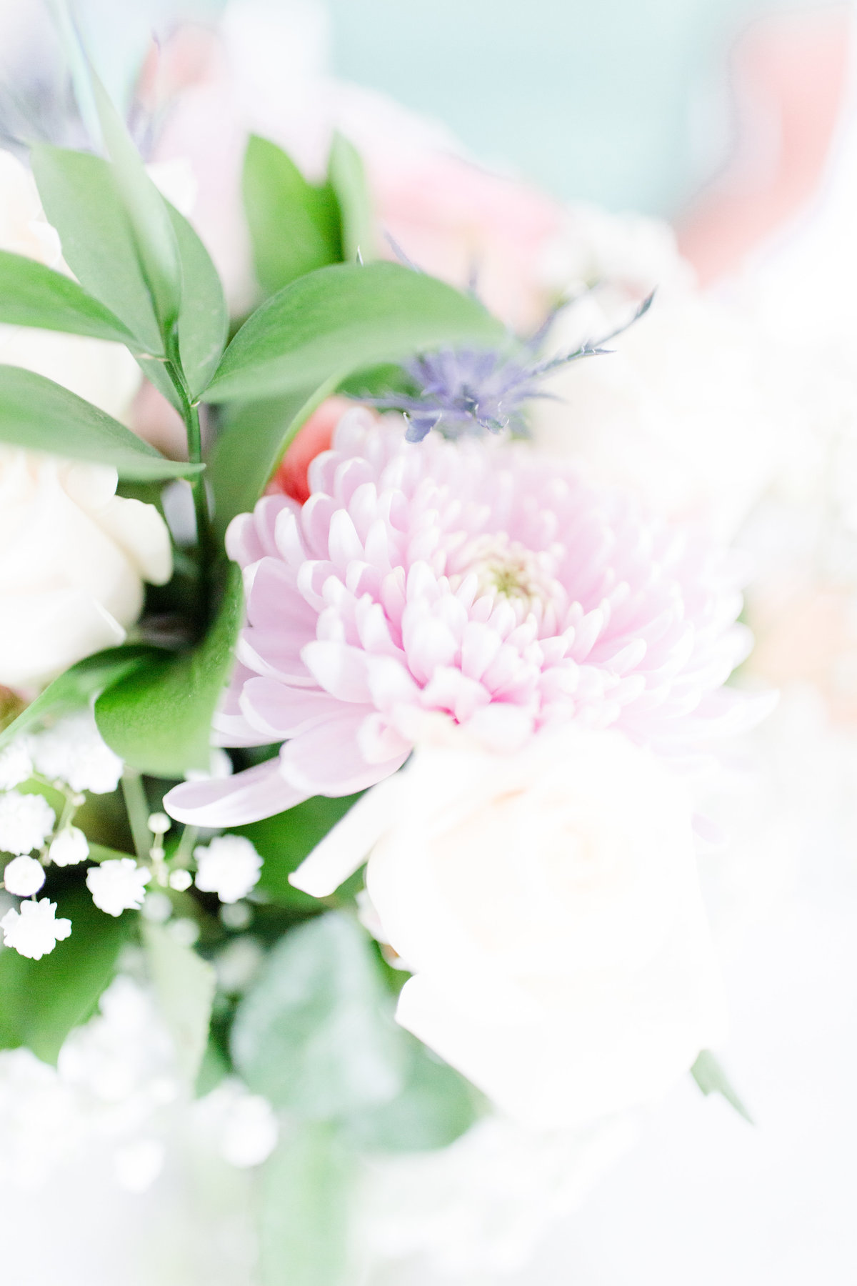 beth-branding-session7236