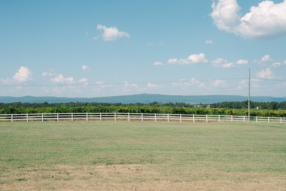 fair-haven-vineyards-kelly-blake(428of1179)