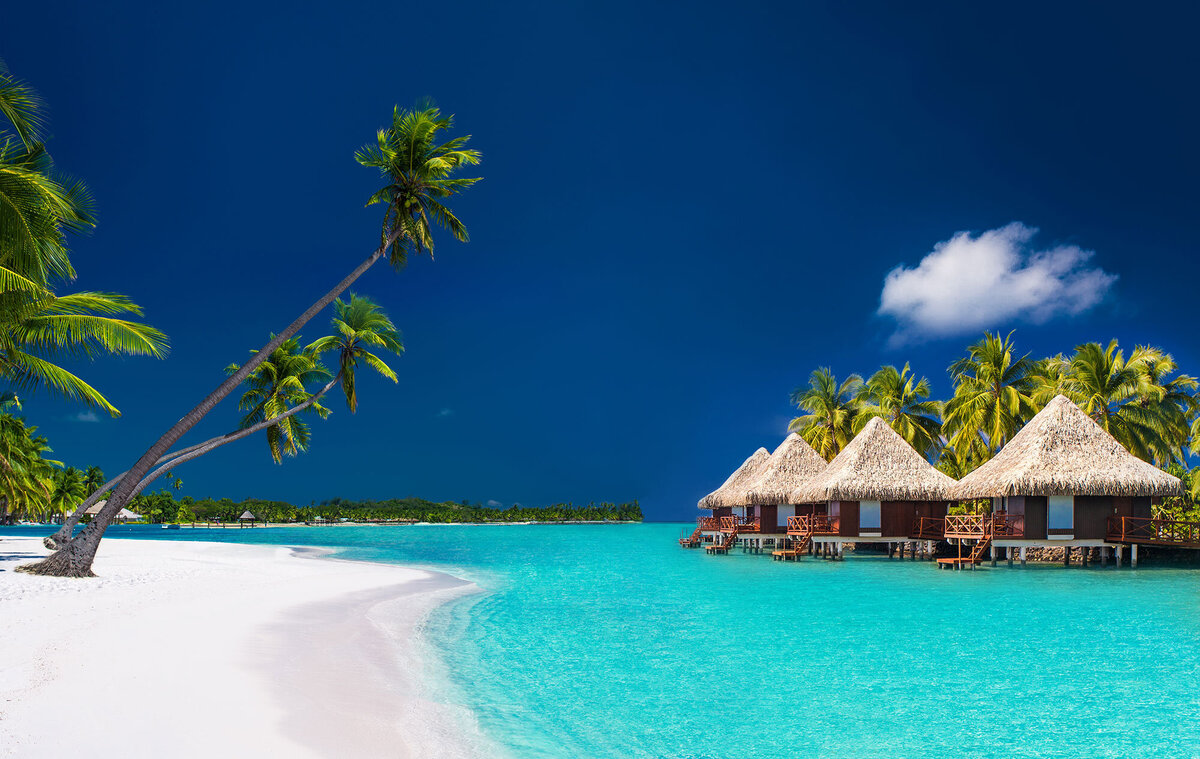 shutterstock_384656068