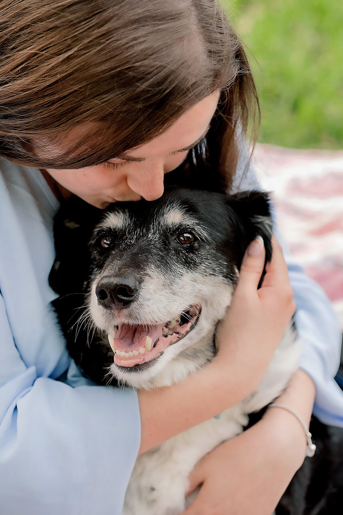 New Orleans Pet Photographer 8