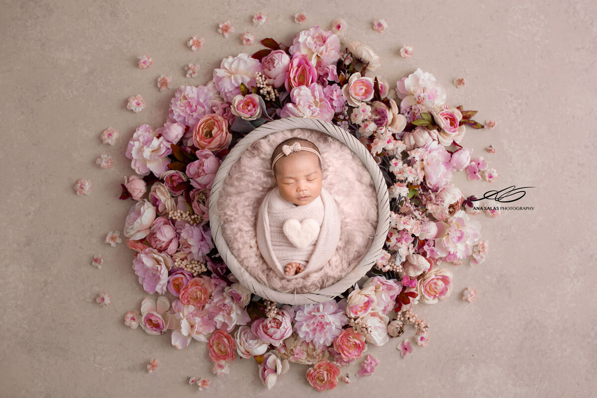 Edmonton Newborn Photography pink floral aesthetic backdrop
