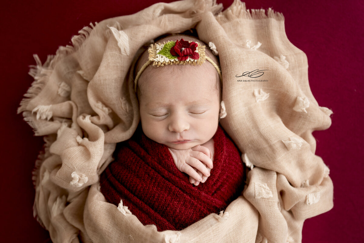 Edmonton Newborn Photography red christmas themed newborn picture