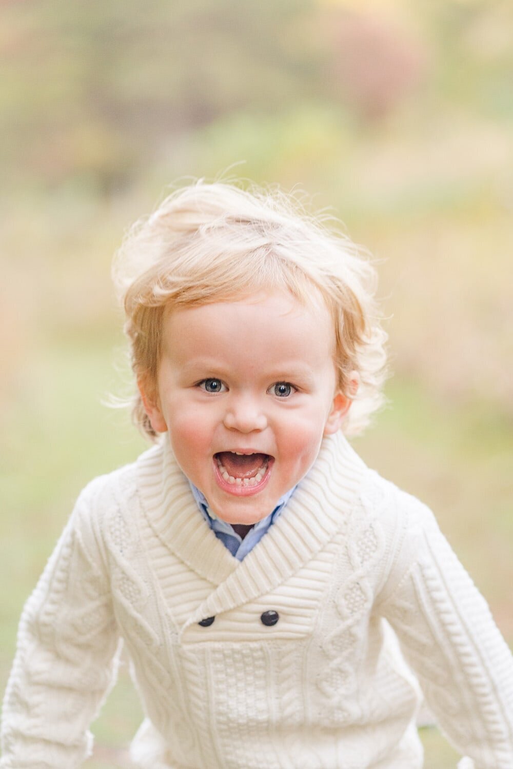 little boy laughing take by a family photographer in Chantilly, Virginia