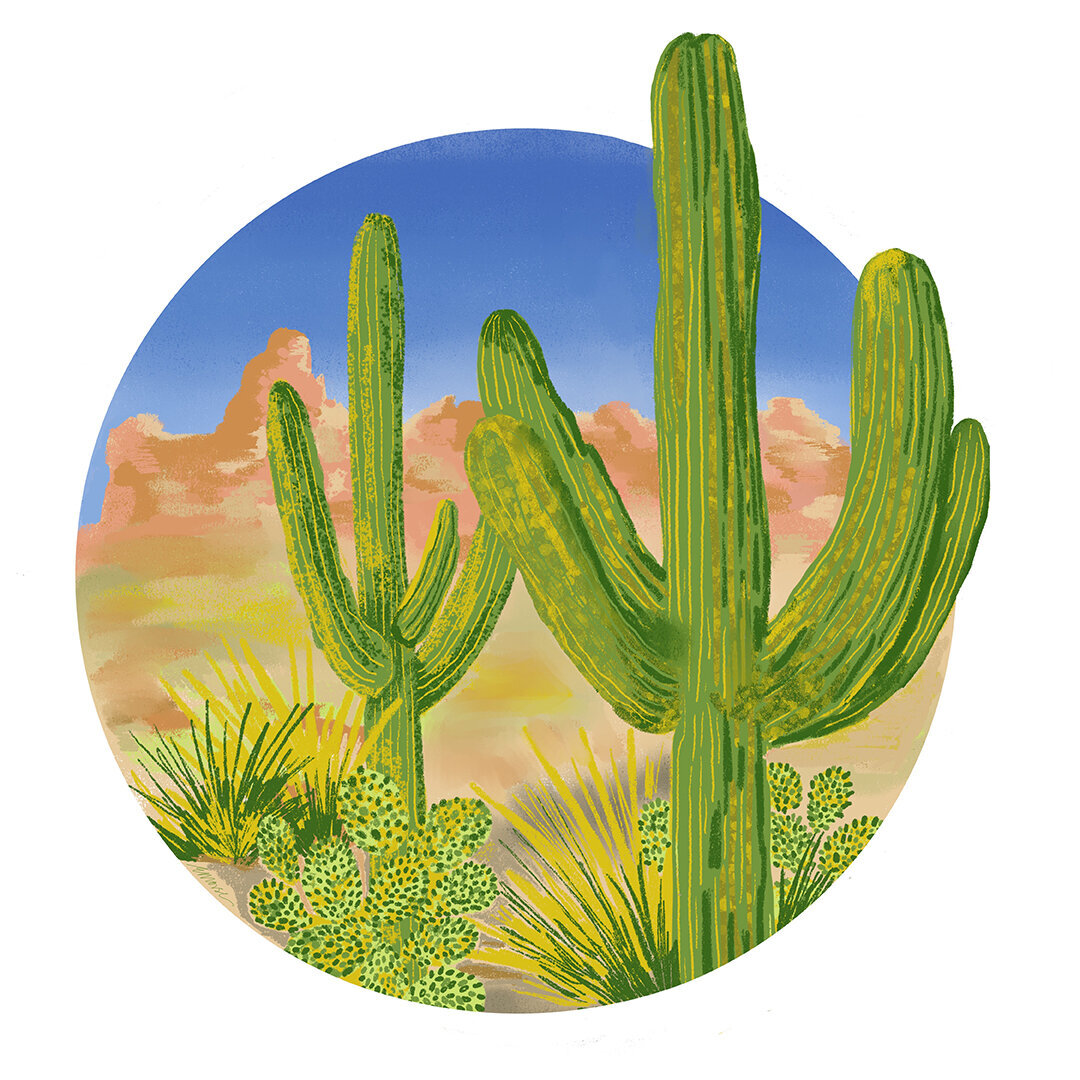 cactus-lores