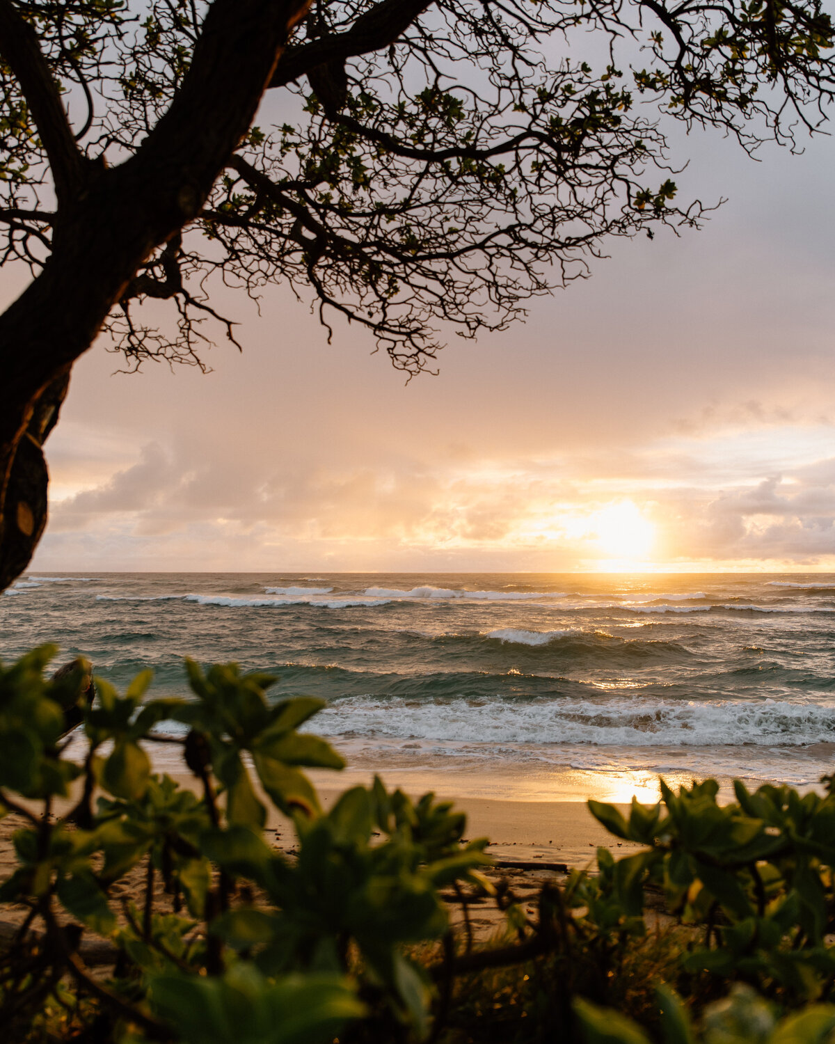 kauai_hawaii_sunrise_1