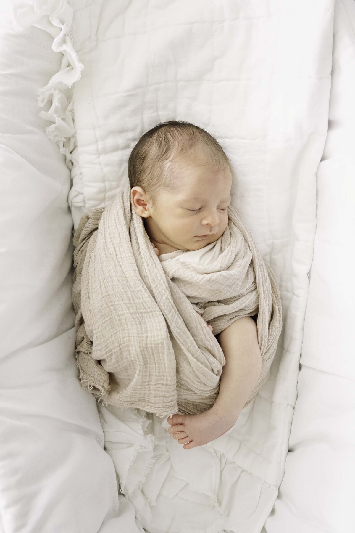 Newborn Baby in Bassenett