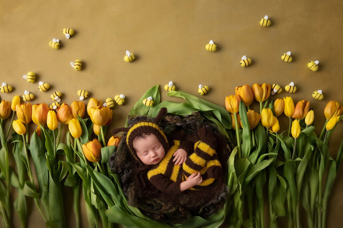 Bestdenvernewbornphotographer