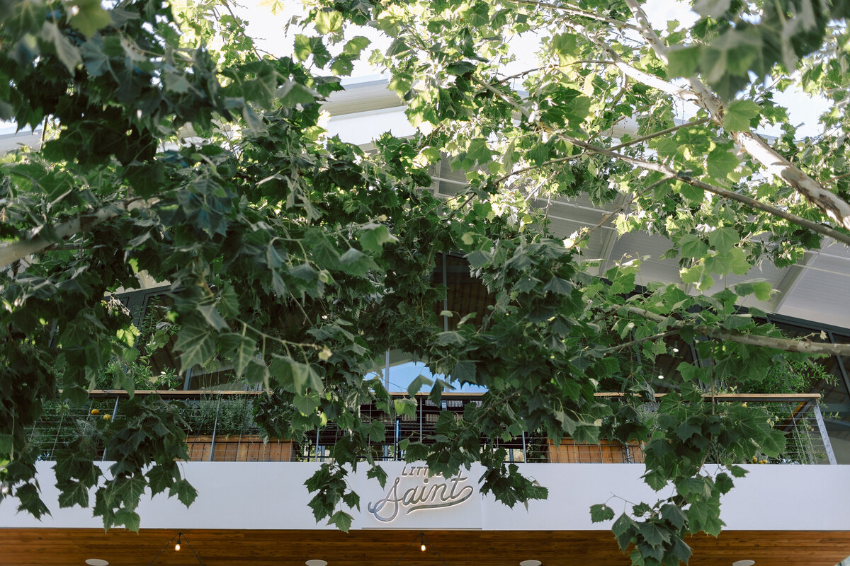 0790_gretchen_gause_photo_healdsburg_wedding_Arista_Winery_Little_Saint_2024-