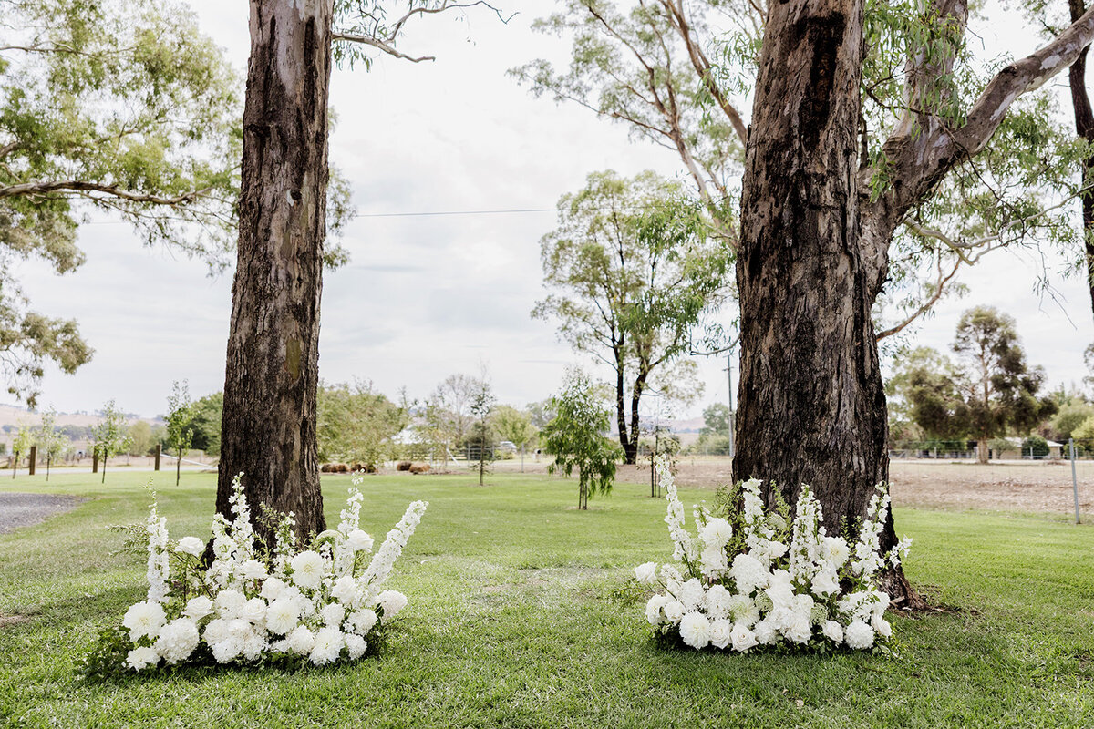 Kaitlyn and Mason - 15.03.2025 - JessicaCarrollPhotographer-71_websize