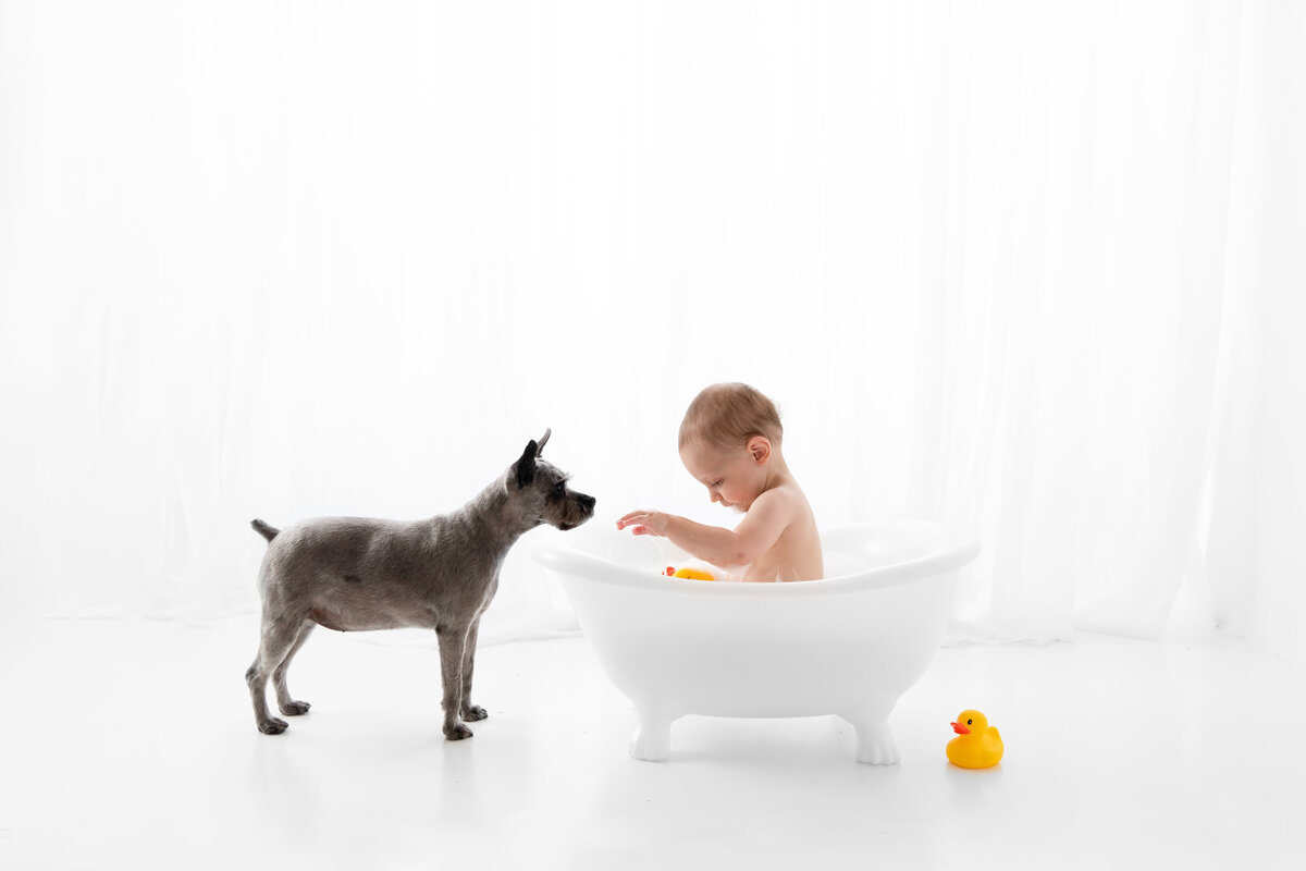 Pet Photographer Grand Junction -  252