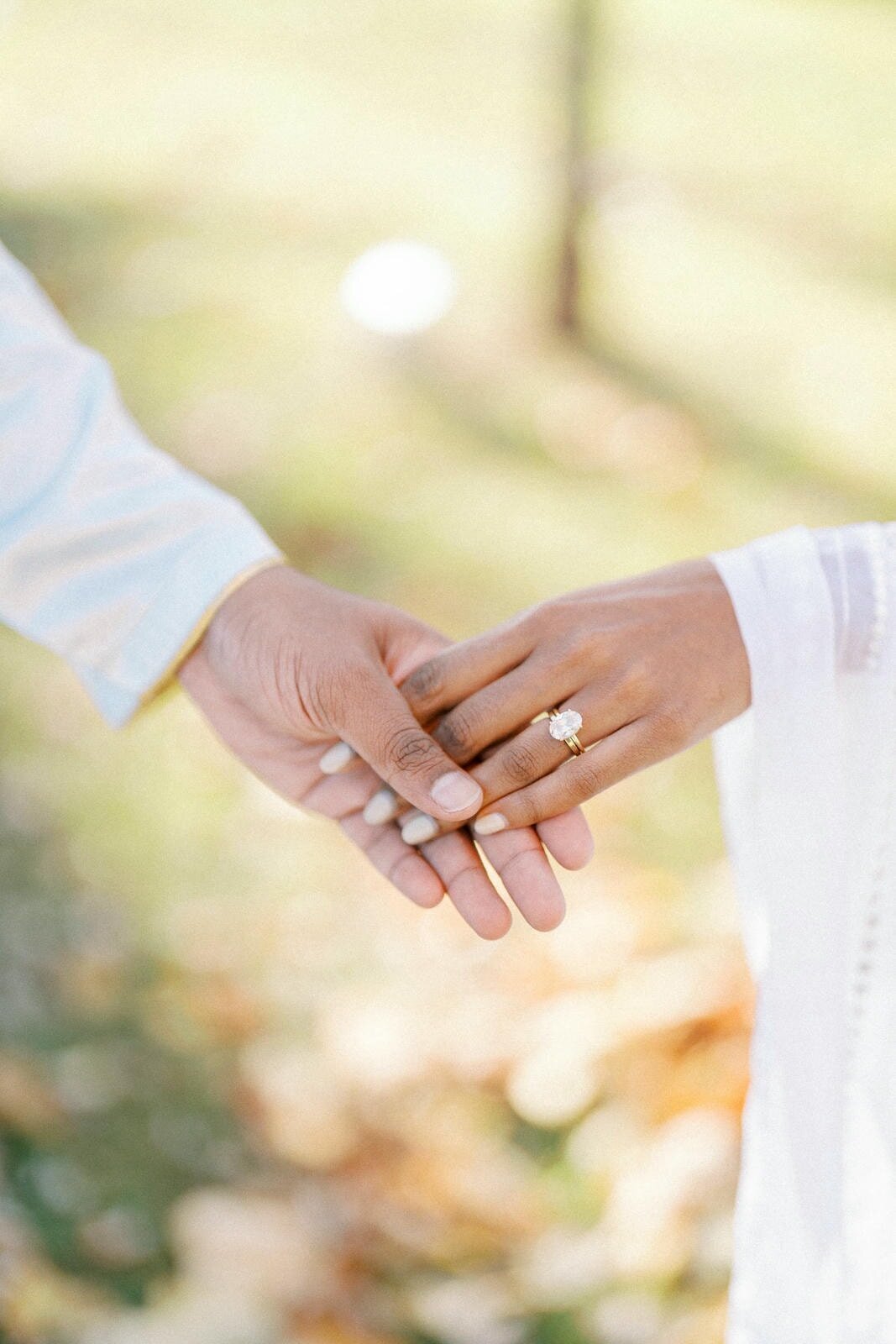 E4-Toronto-Engagement-Photoshoot-Judi-and-Raj-2024-11-03-2500px-1100