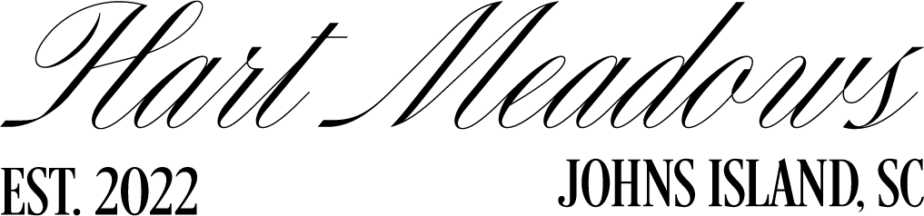 Asset 15