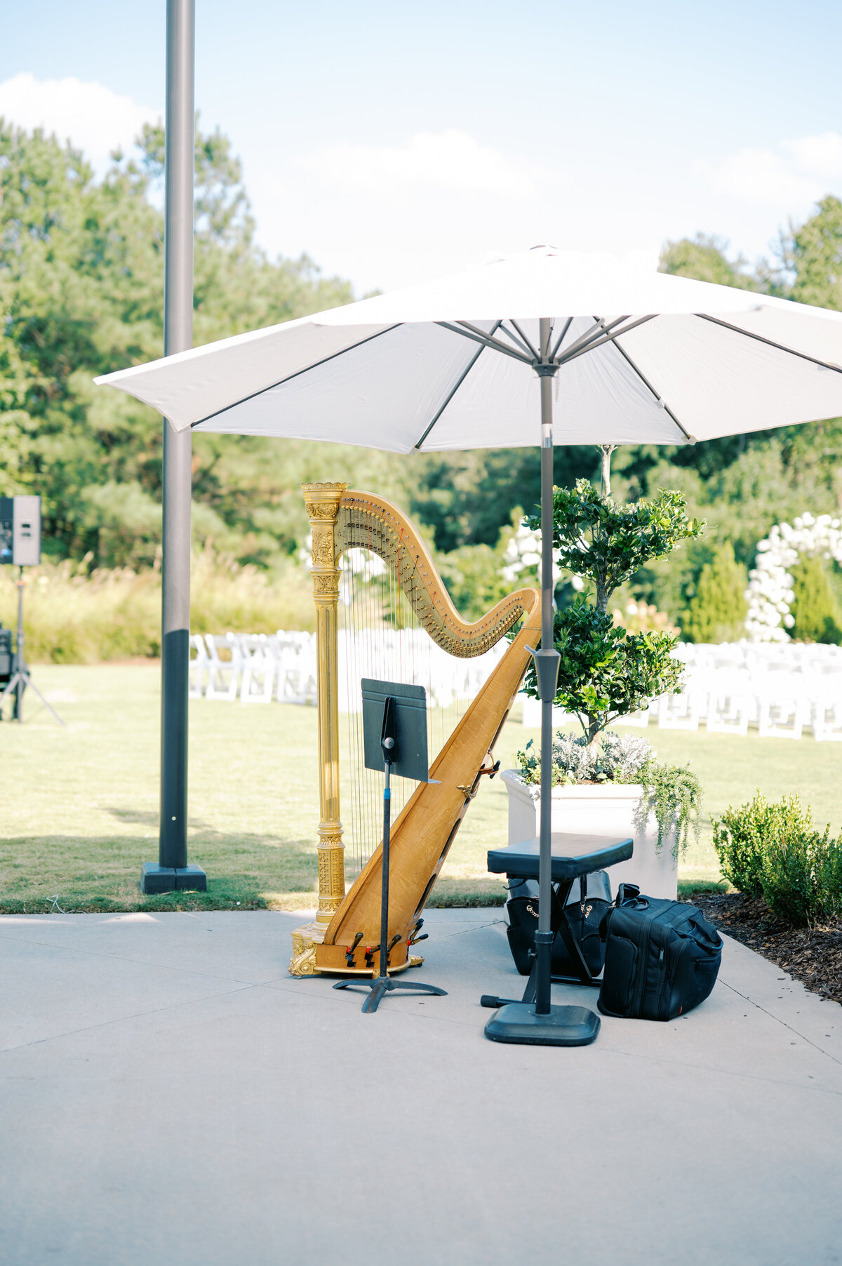 harpist set up at The Maxwell