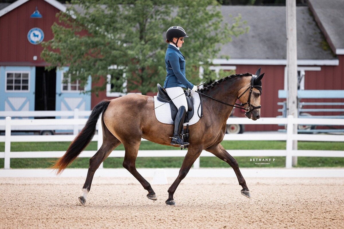 jessie-paine-jp-dressage-1