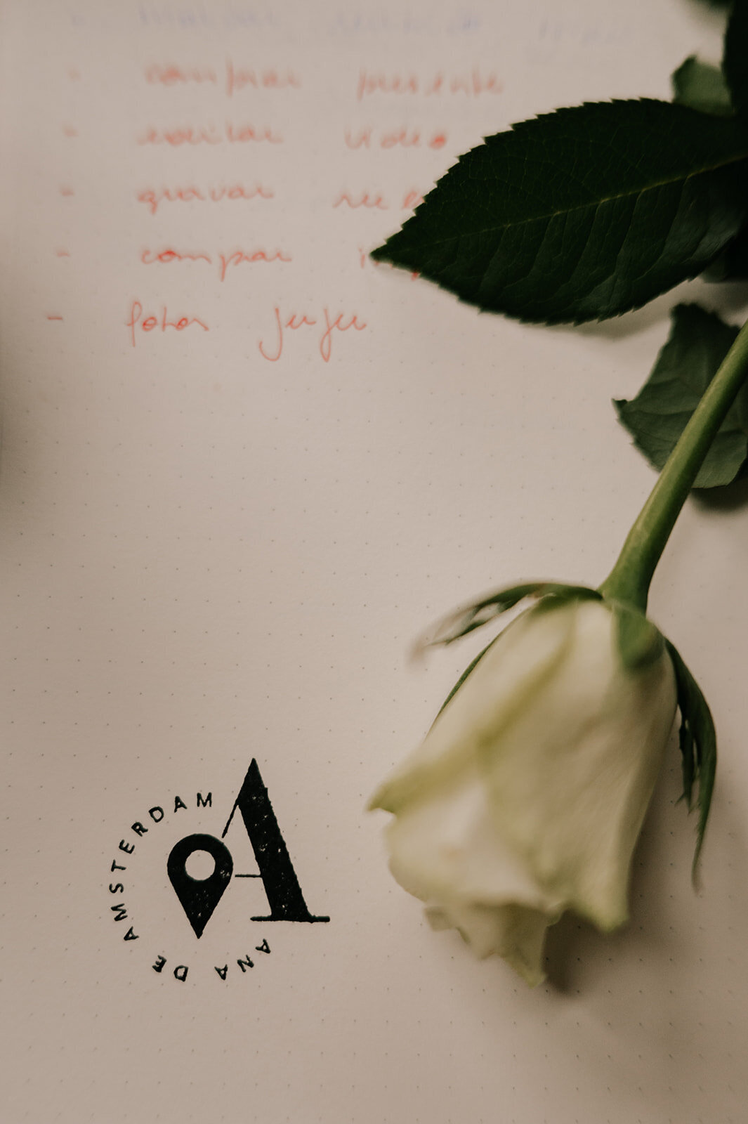 branding-photographer-amsterdam16