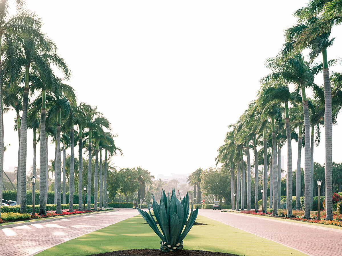 The Fourniers | West Palm Beach Engagement-4