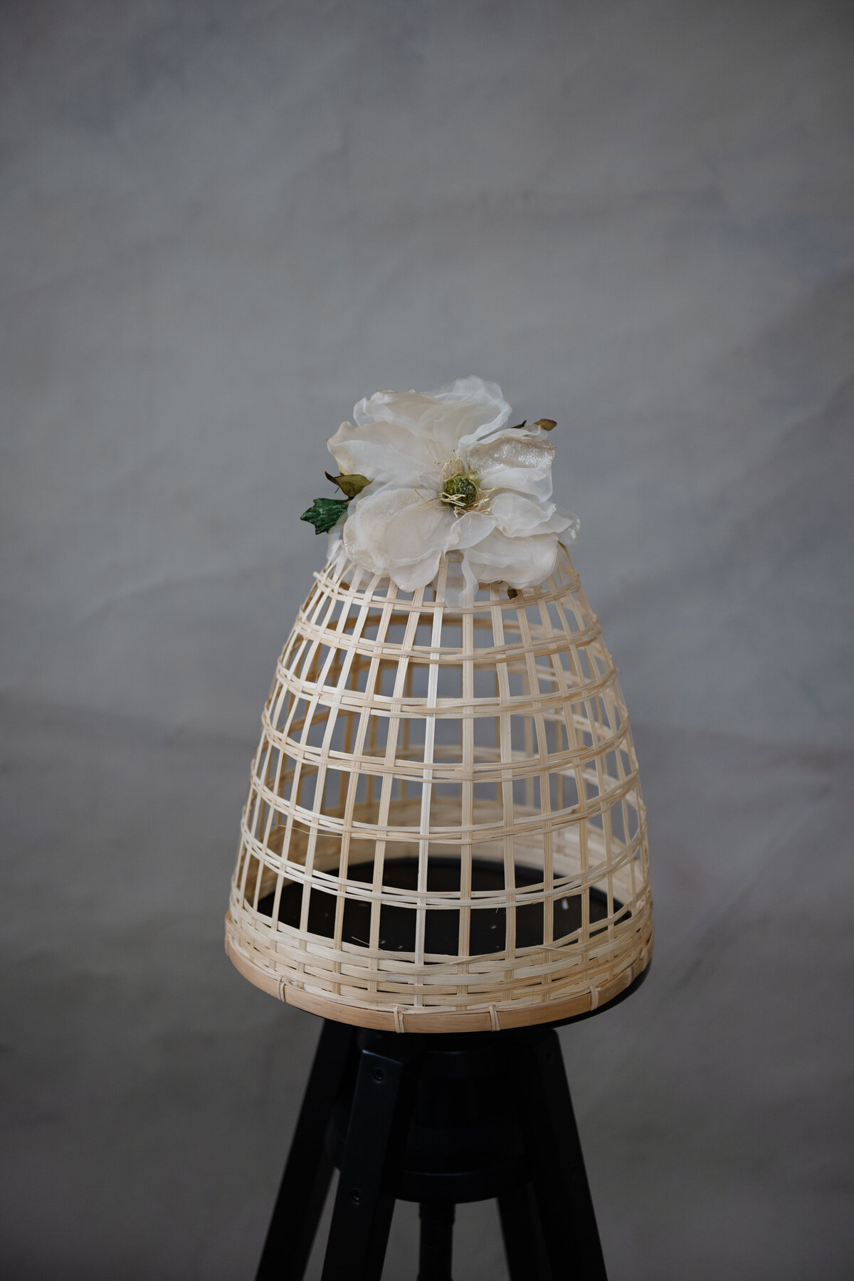 white chiffon vintage rose_DSC_0538 copy 2