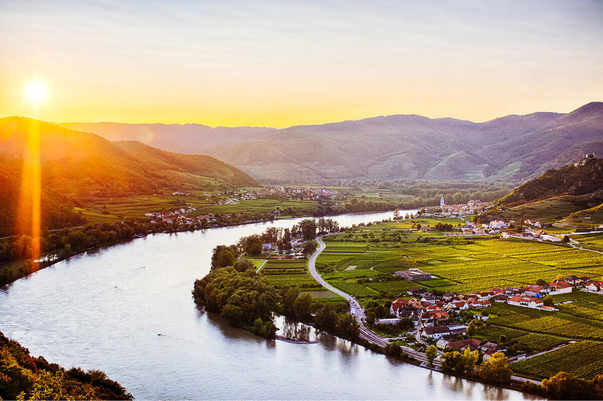 Weinberge und Donau im Abendlicht mit Blick auf die Wachau – atmosphärische Landschaftsaufnahme für Werbung und Tourismus
