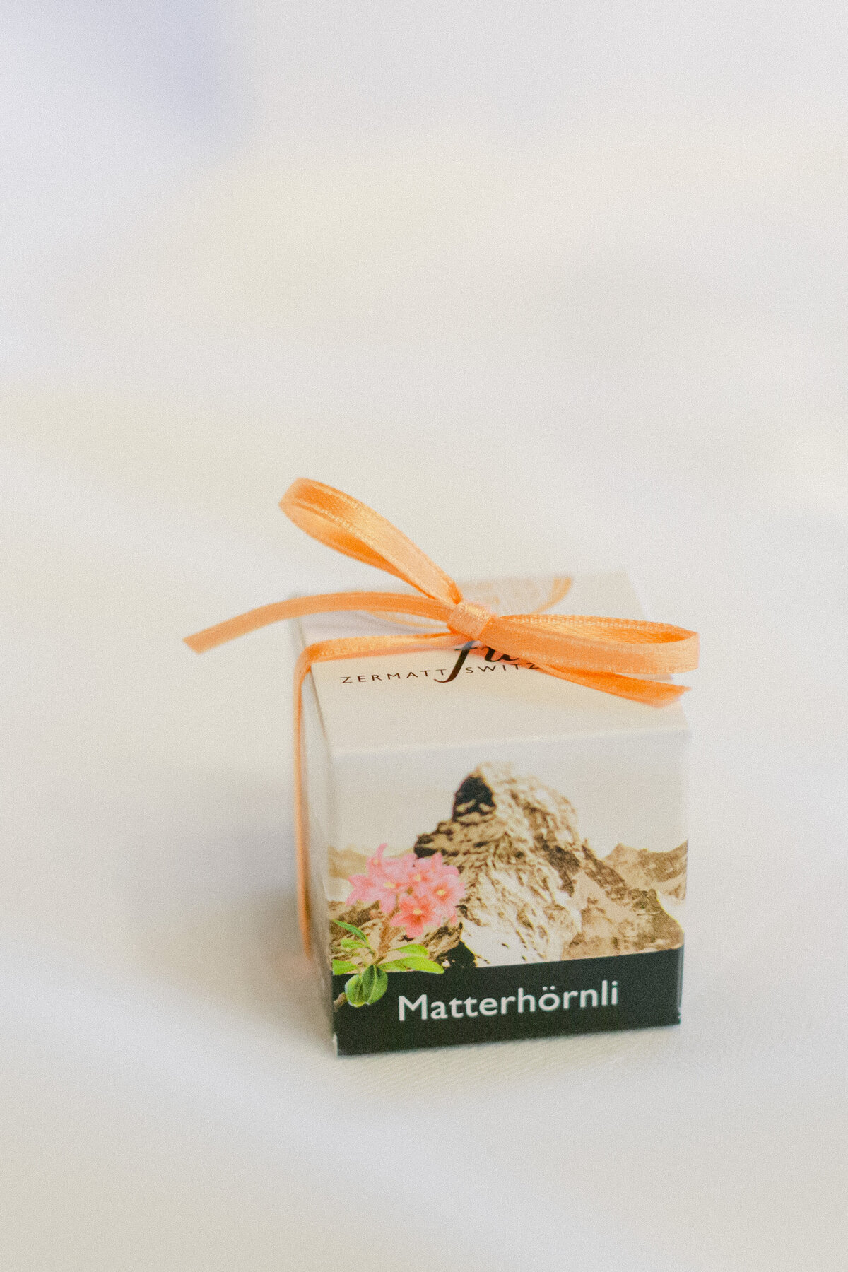 Wedding-Photographer-Zermatt70