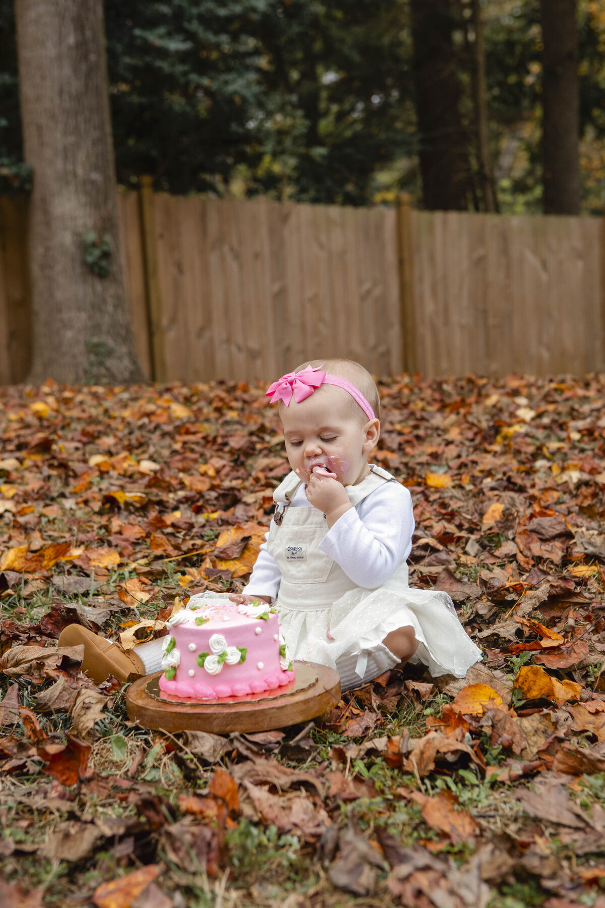 Marietta Milestone Photographer