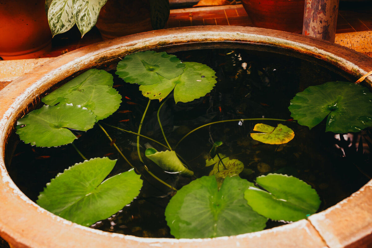Savannah-photographer-traveler-Thailand-04