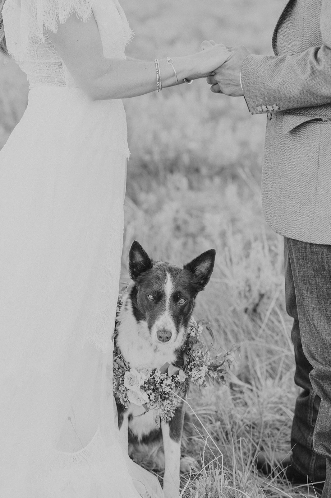 Carly-Patrick-Sheridan-Wyoming-Elopement-128