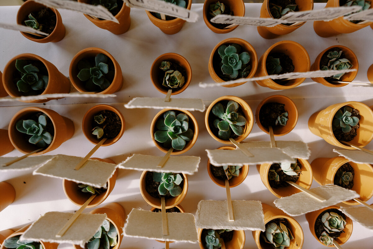 katiejohn_website_0083