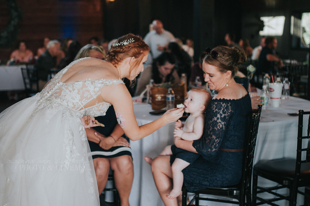 reception _ alaynna ann schwartz _ harpors vinyard _ iowa photographer _ playlife photography_0437