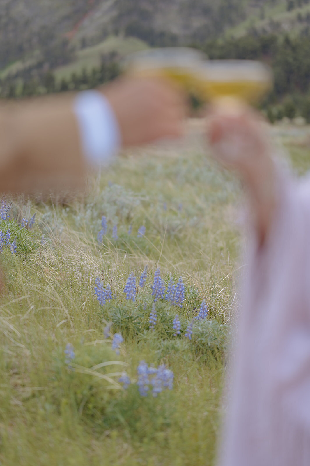 Carly-Patrick-Sheridan-Wyoming-Elopement-271