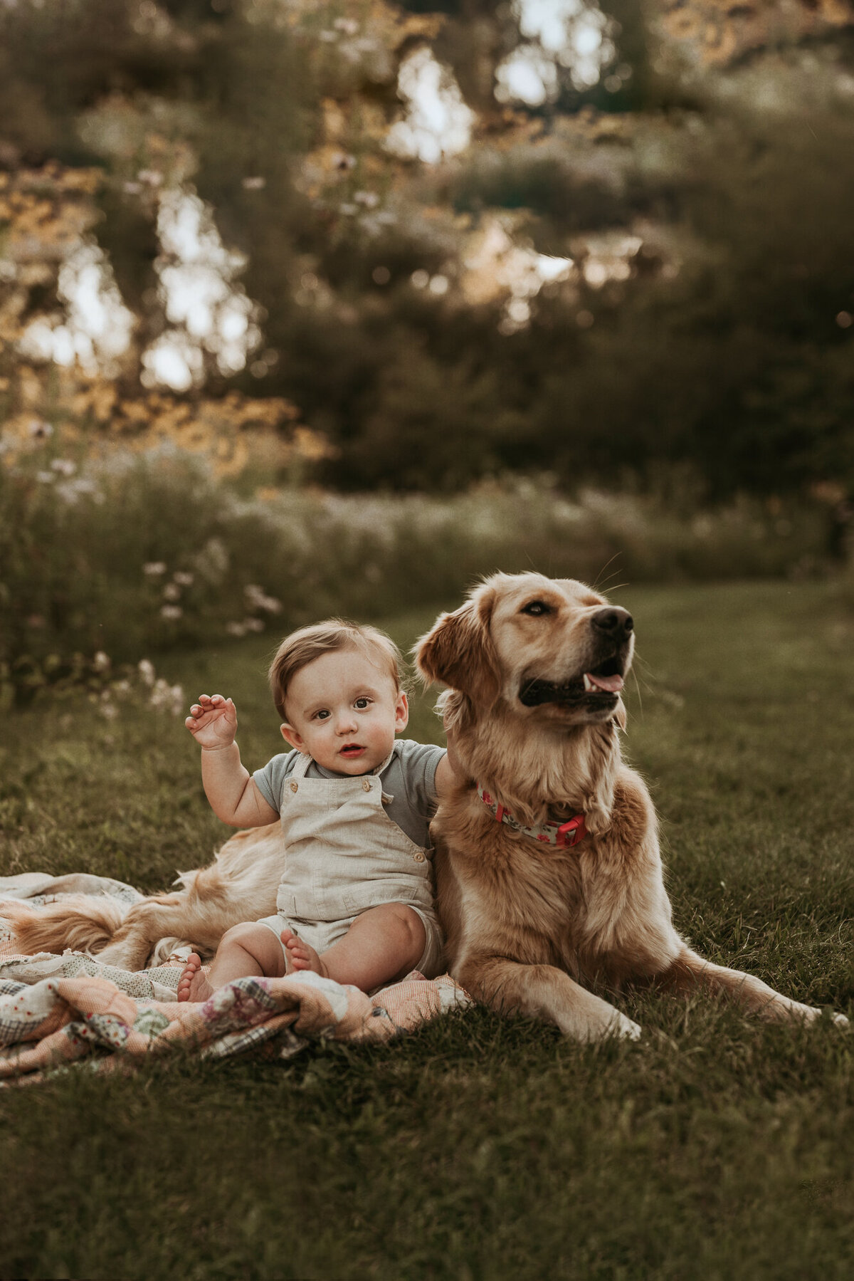 baby and golden retriever cuddle in the grass