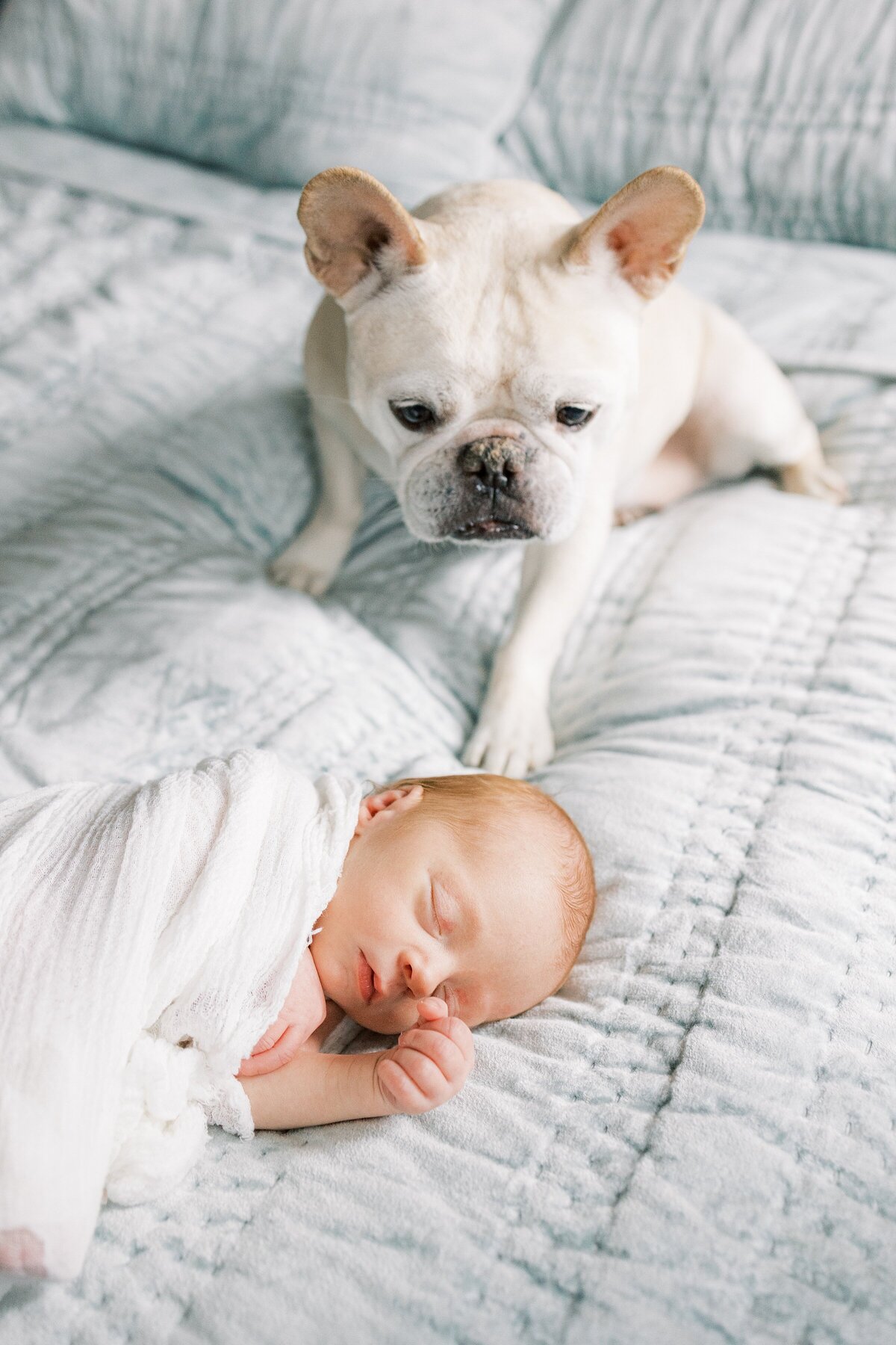 Philadelphia Newborn Photographer | Newborn Photographer Near Me Media PA_0025