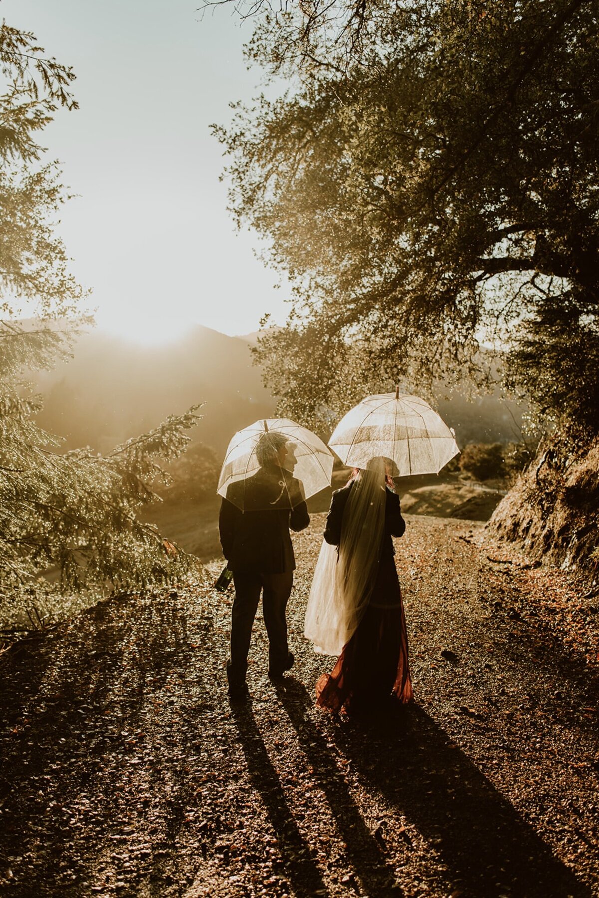 Screen Shot 2022-08-03 at 3.47.39 PM