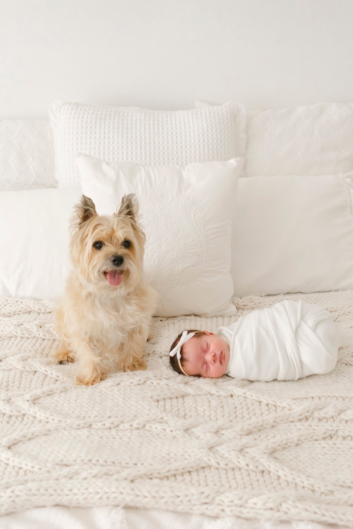 boston_newborn_photography_9846