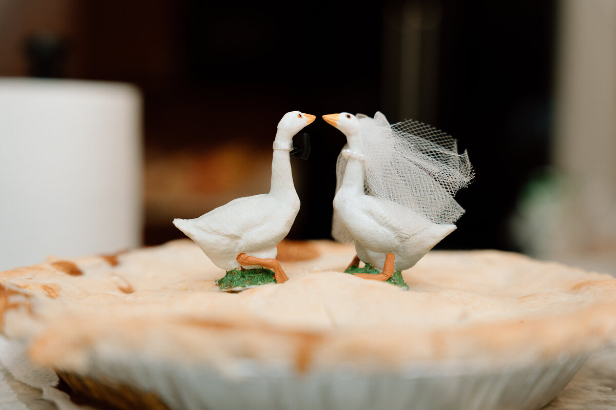 bay-wedding-statesville-NC-elopement-lizarrietaphotography-519