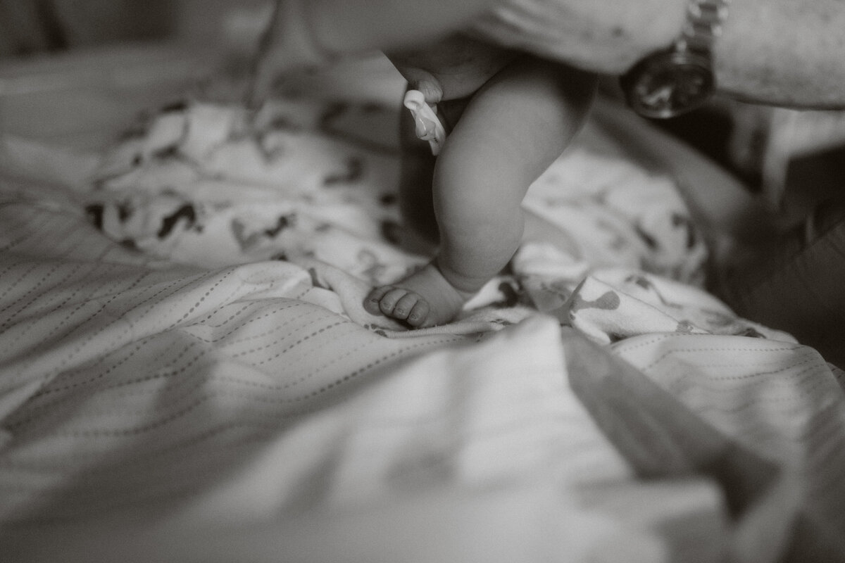 Ember-After Birth-059