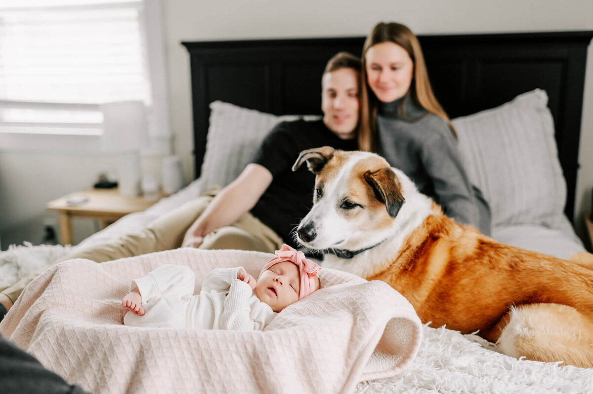 greensboro-lifestyle-newborn-photographer-1083