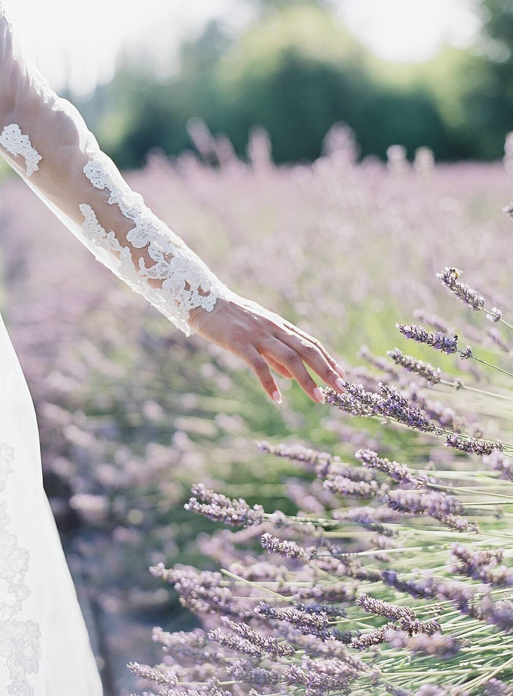 woodinville-lavender-wedding-Jacqueline-Benet_0007