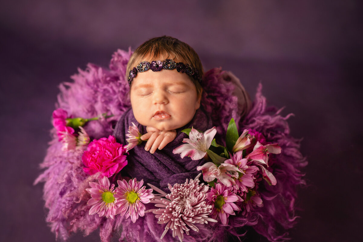 Newborn baby girl in a bucket with purple fur and fresh flowers.  She is wearing a purple headband and is asleep.  She is holding a purple chrysanthemum in her hand and is facing the camera.