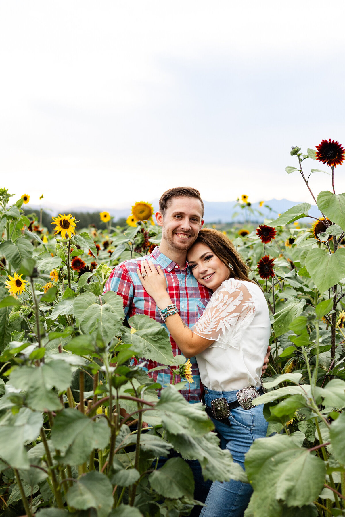 Colorado-sunflower-field-photography-17