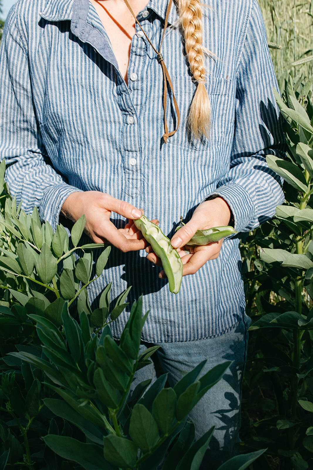 Burns_Blossom_Farm_May2023_danipadgett13912_websize