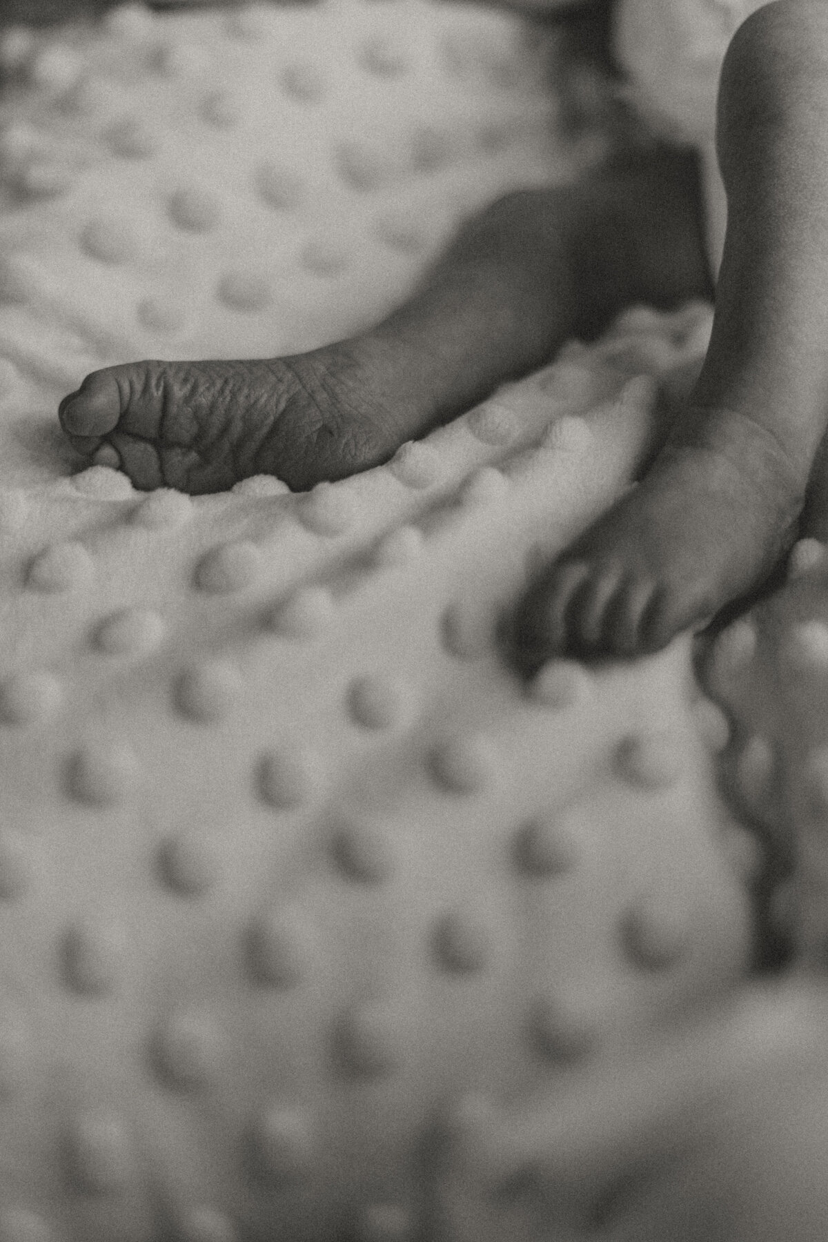 CindyG.Photography-1469