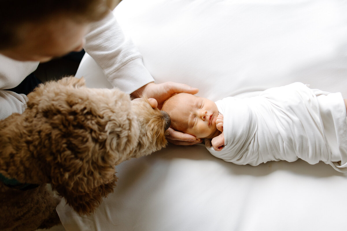 TUCKER_NEWBORN-2734