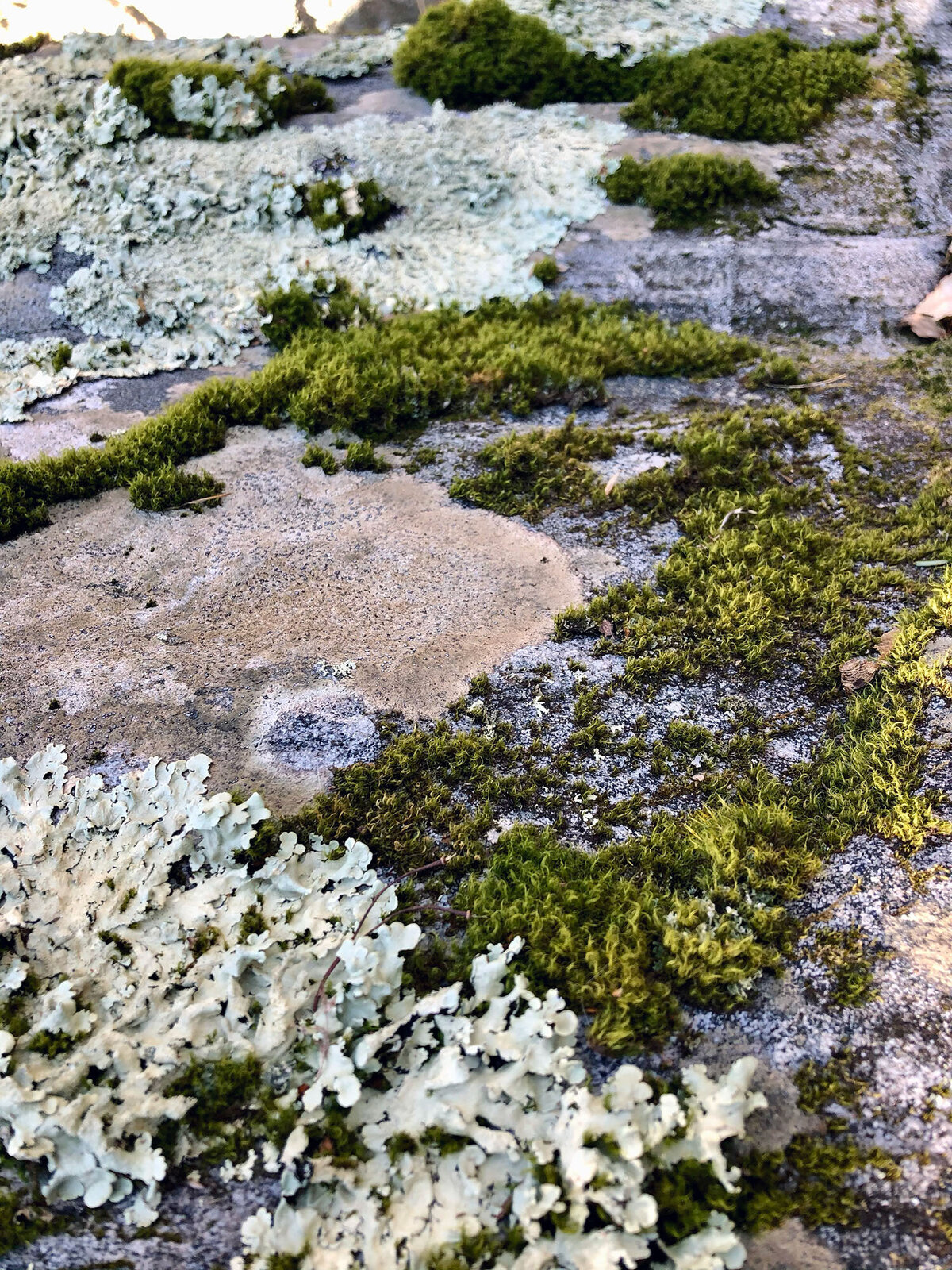 CCC_Estuary_49