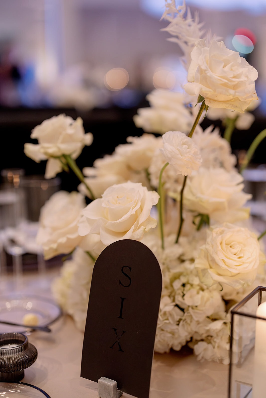 sm_cocktail-reception-100