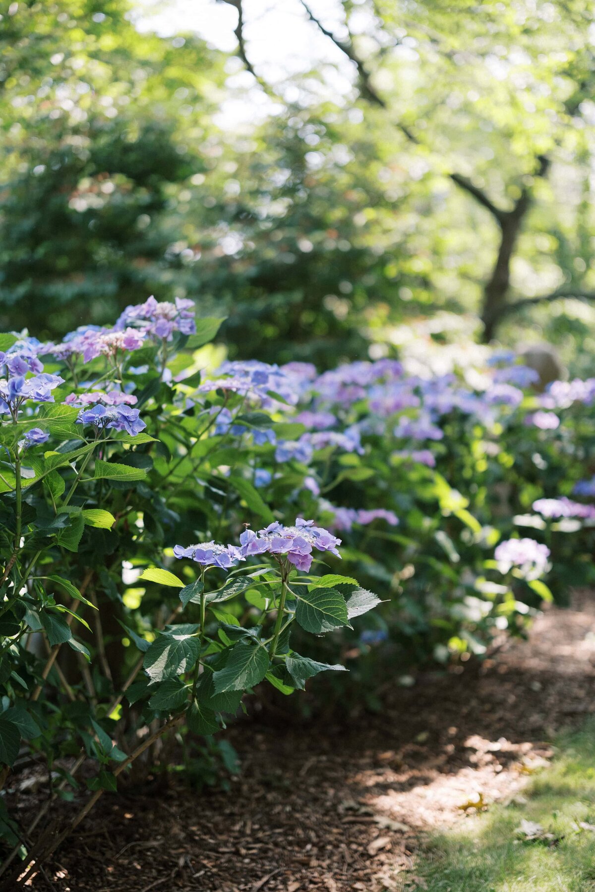 Long_Island_Planting_Fields_Arboretum_wedding_15