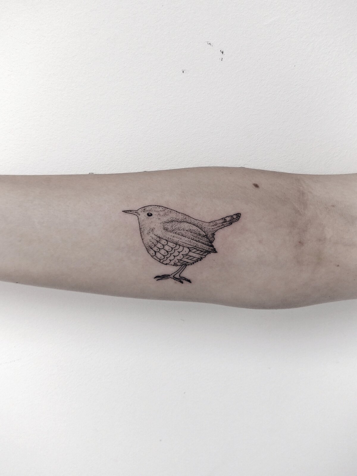 EmilyA tattoo, robin tyattoo, pattern