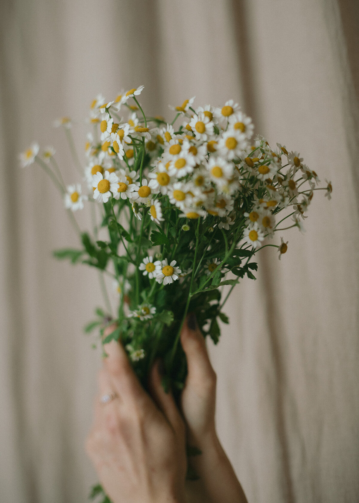 Minnesota-Wedding-Photographer-32