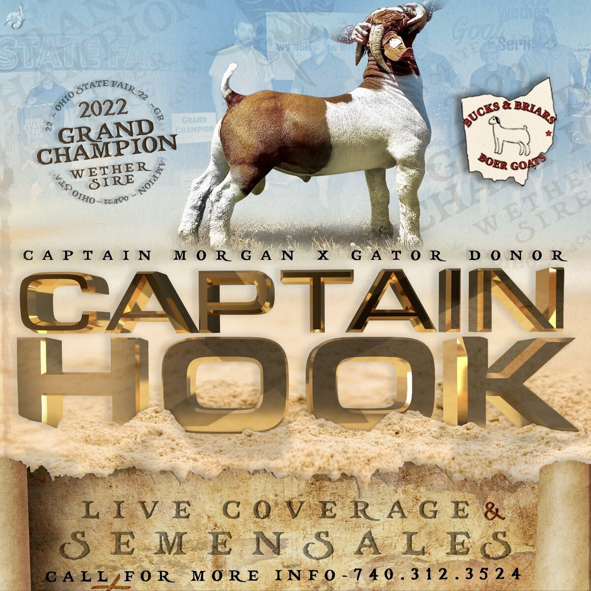 BBNT_GraphicBundle2CAPTAIN HOOK